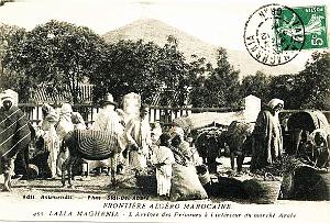 Marnia 073